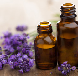 The Essential Oil Revolution