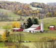 Amish Harvest